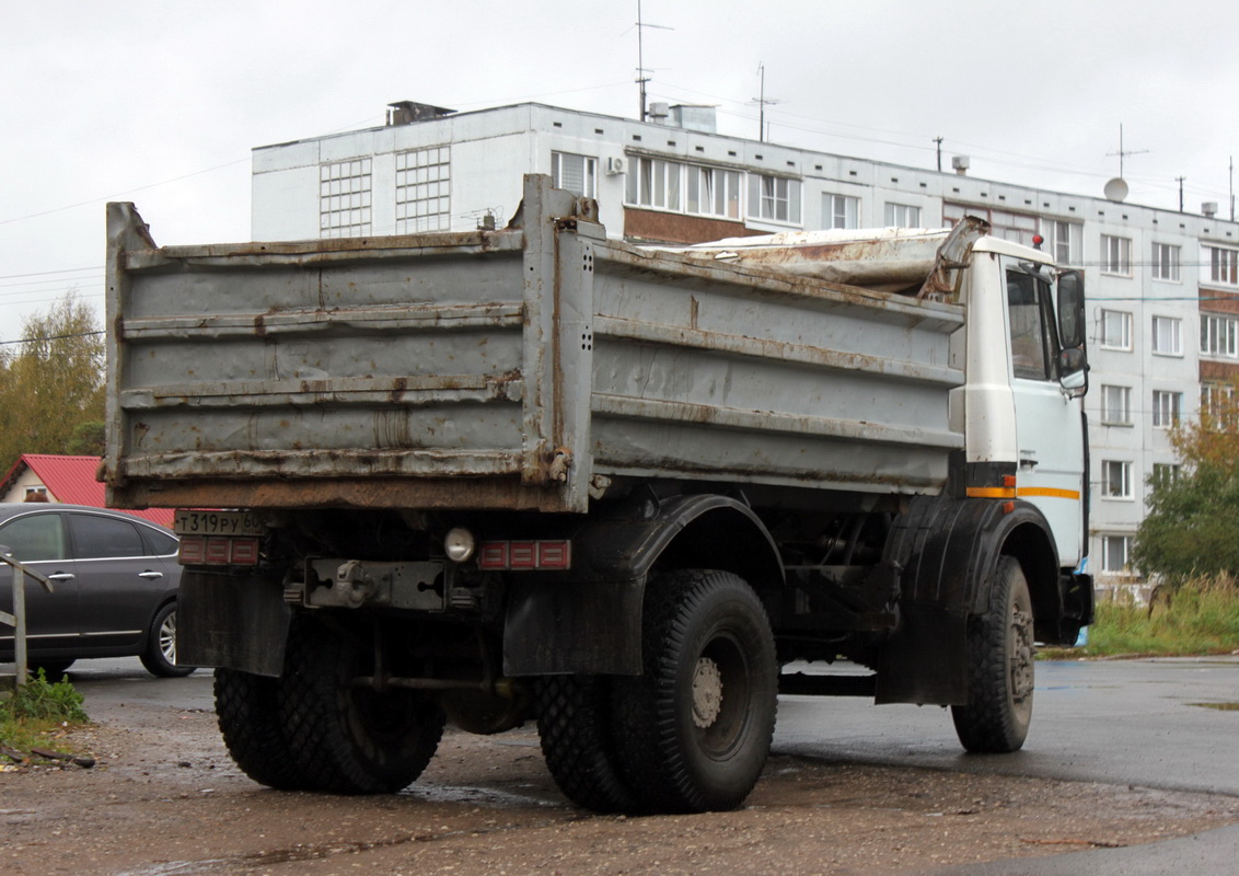 Псковская область, № Т 319 РУ 60 — МАЗ-555102