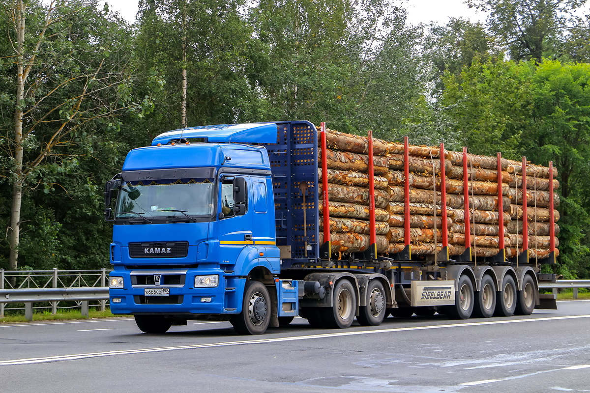 Санкт-Петербург, № К 666 СХ 198 — КамАЗ-65209-S5(87)