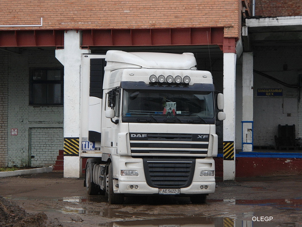 Витебская область, № АЕ 5422-2 — DAF XF105 FT