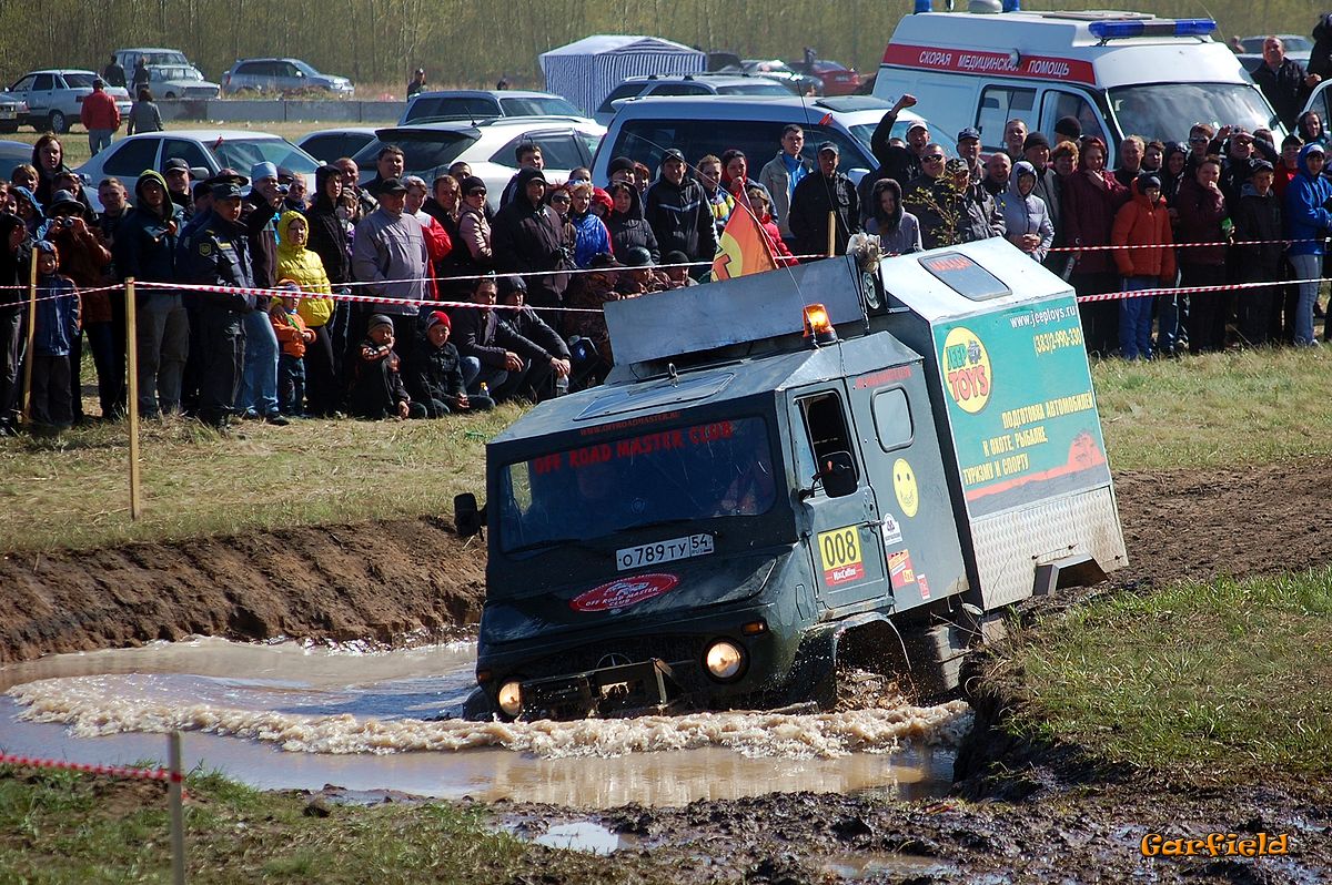 Новосибирская область, № О 789 ТУ 54 — Mercedes-Benz Unimog (общ.м)