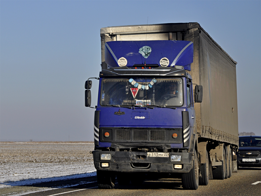 Алтайский край, № В 313 МХ 22 — МАЗ-5432 [543200]