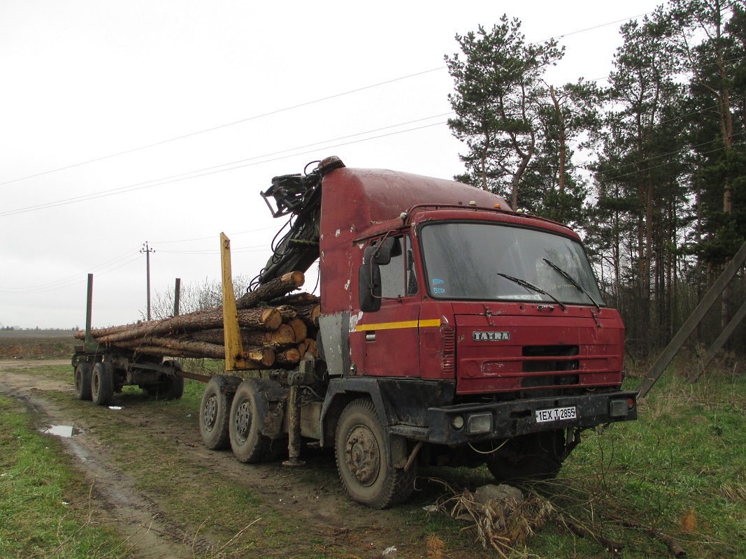 Брестская область, № 1ЕХ Т 2855 — Tatra 815 NT