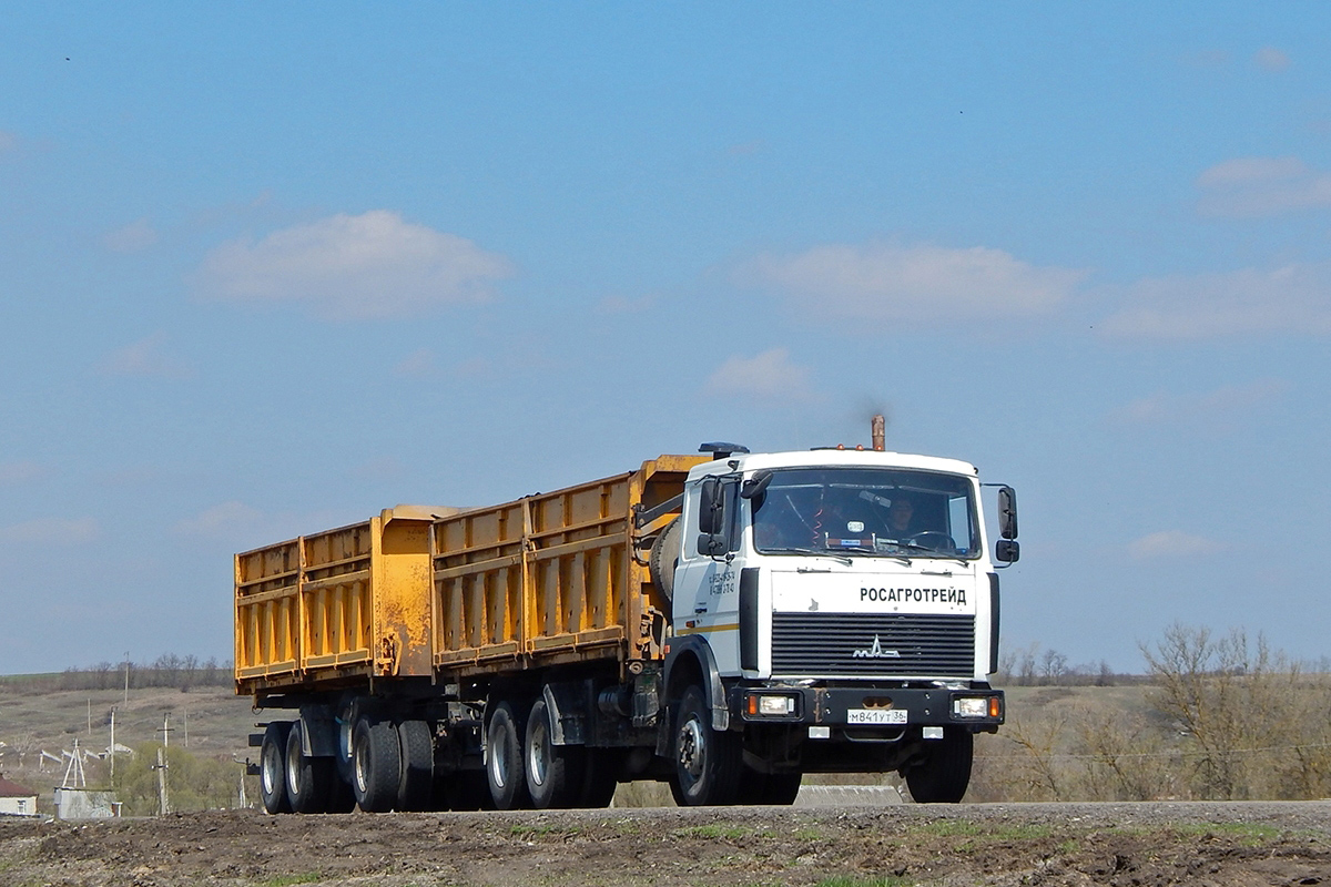 Воронежская область, № М 841 УТ 36 — МАЗ-5516A8