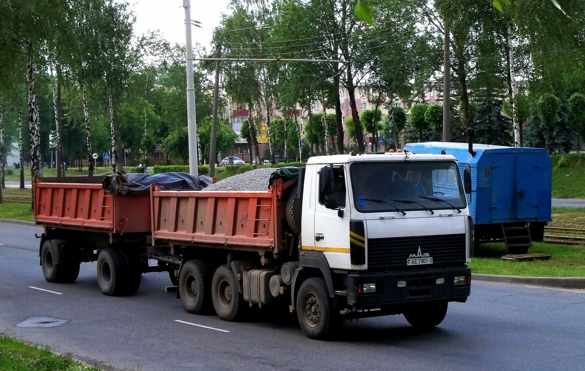 Витебская область, № АЕ 7901-2 — МАЗ-6501 (общая модель)