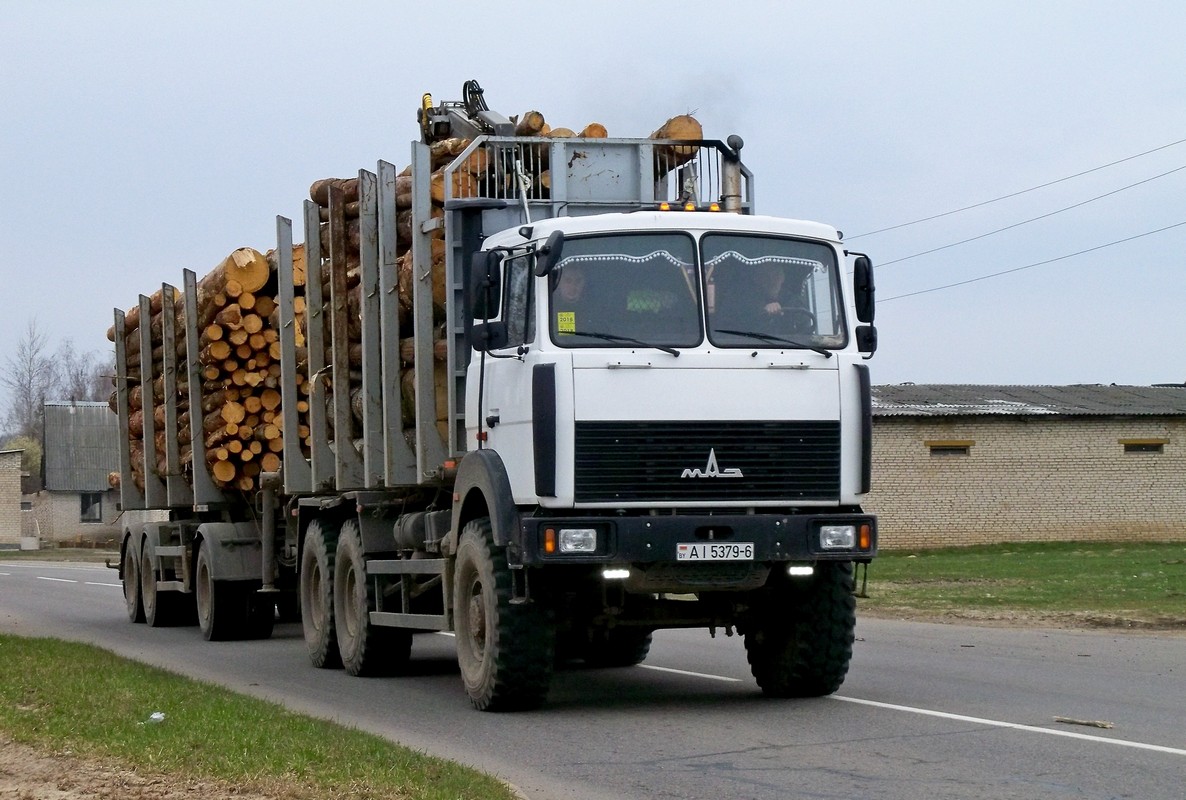 Могилёвская область, № АІ 5379-6 — МАЗ-631708; Могилёвская область, № А 8383 А-6 — МАЗ (общая модель)