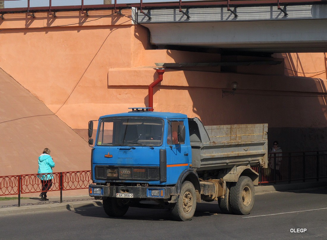 Витебская область, № АК 2856-2 — МАЗ-5551 [555100]