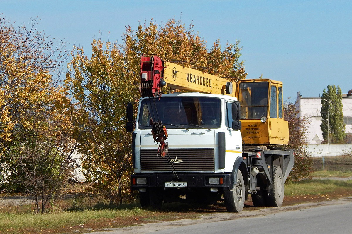 Белгородская область, № Т 116 ВС 31 — МАЗ-5337 [533700]