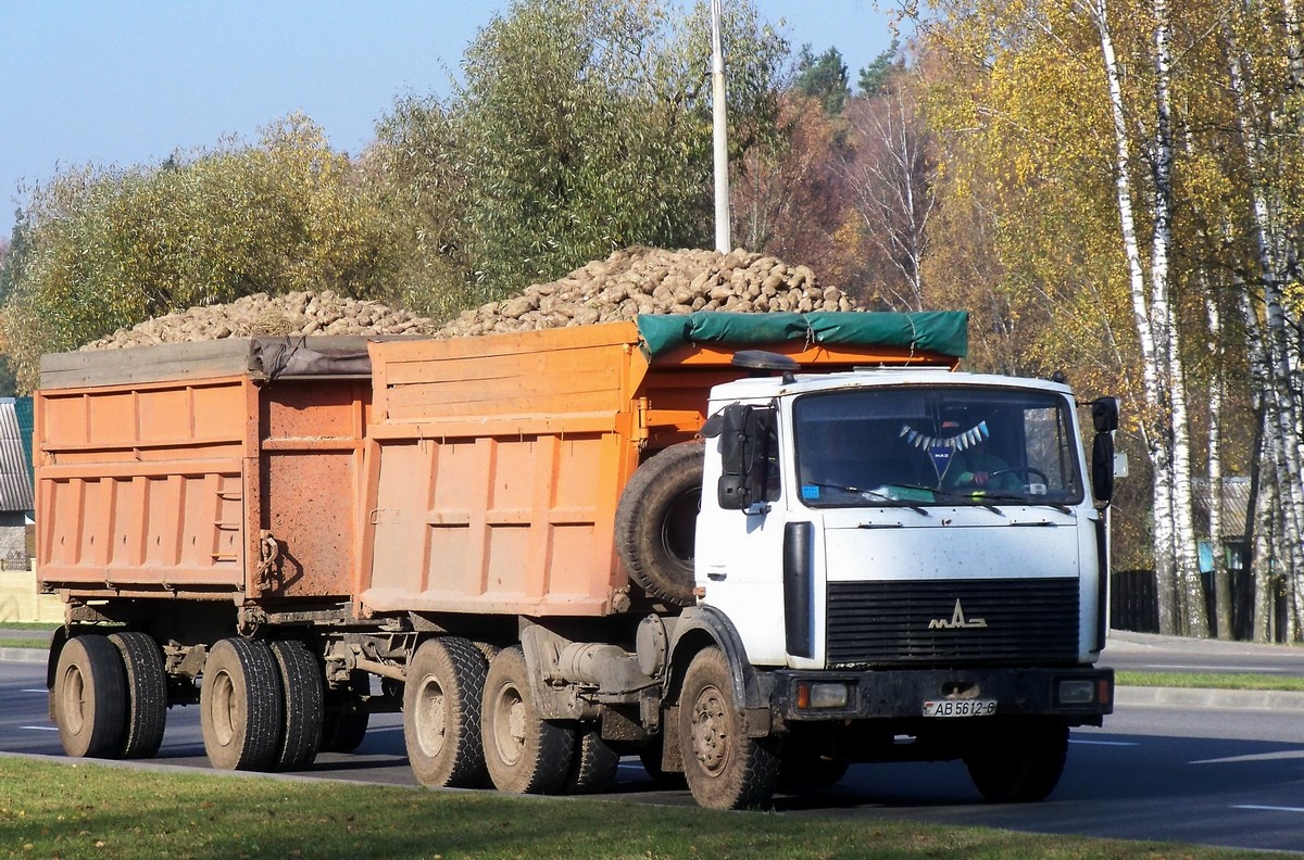 Могилёвская область, № АВ 5612-6 — МАЗ-5516 (общая модель)