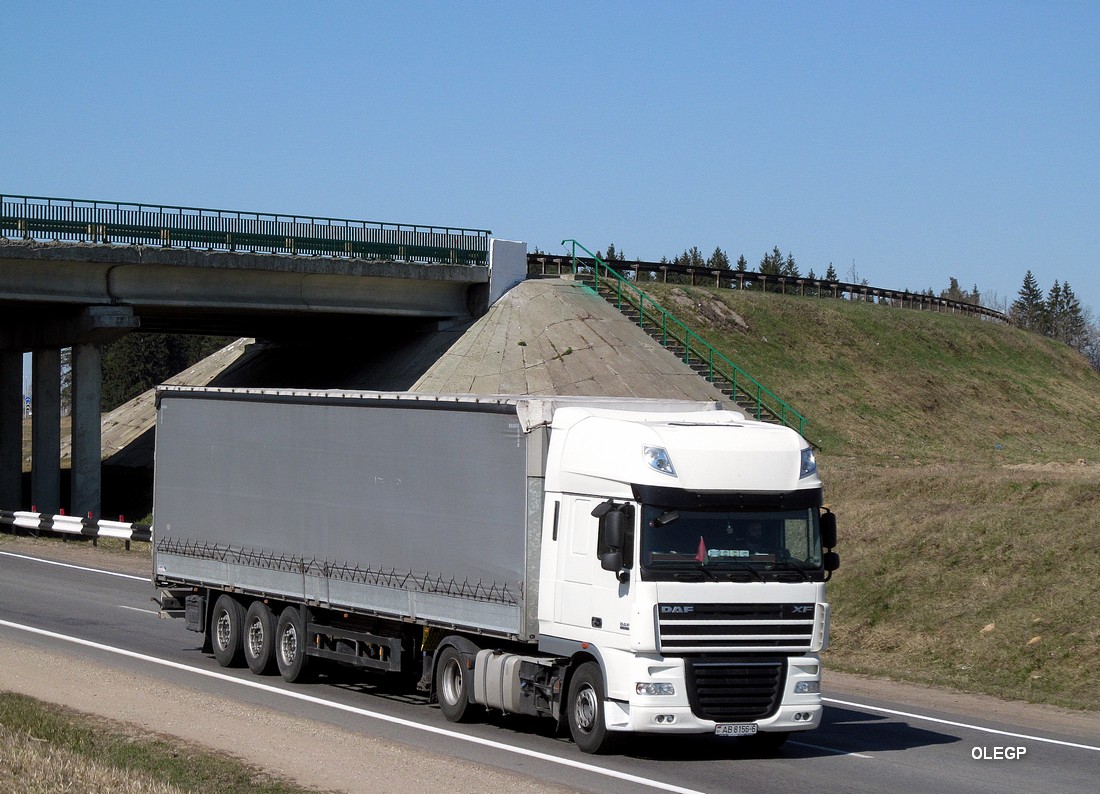 Могилёвская область, № АВ 8156-6 — DAF XF105 FT