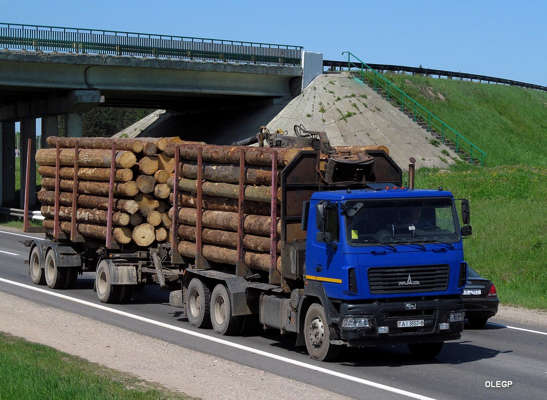 Могилёвская область, № АІ 3557-6 — МАЗ-6312B9