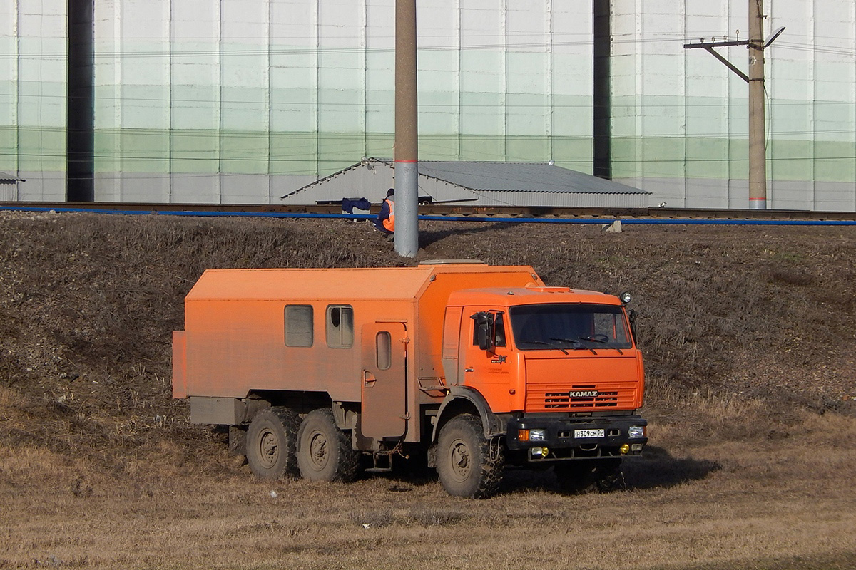 Воронежская область, № Н 309 СМ 36 — КамАЗ-43118-15 [43118R]