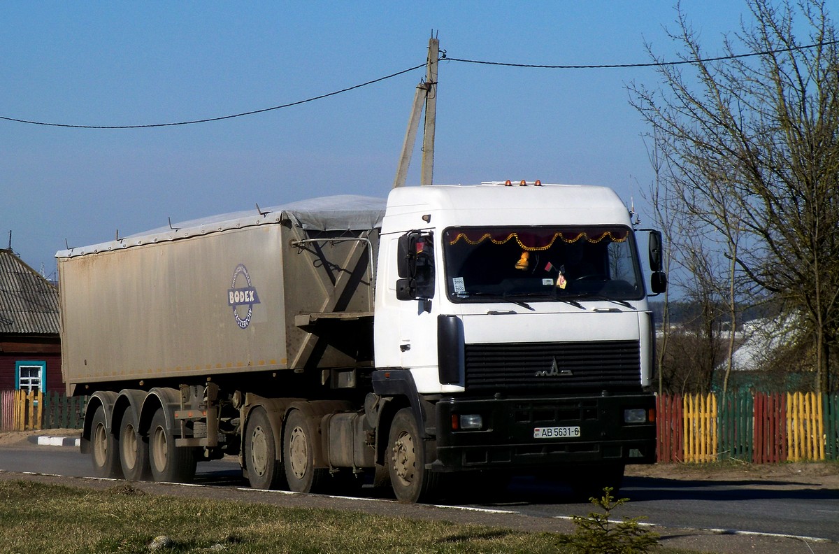 Могилёвская область, № АВ 5631-6 — МАЗ-6430 (общая модель)