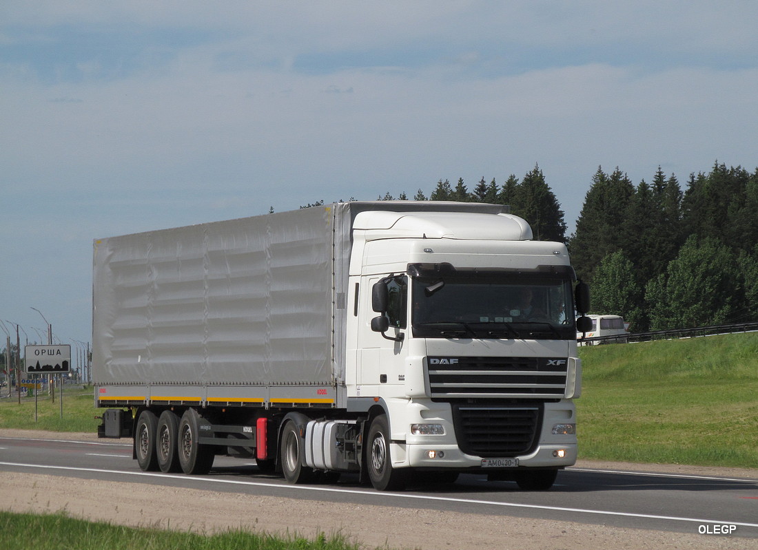 Брестская область, № АМ 0430-1 — DAF XF105 FT
