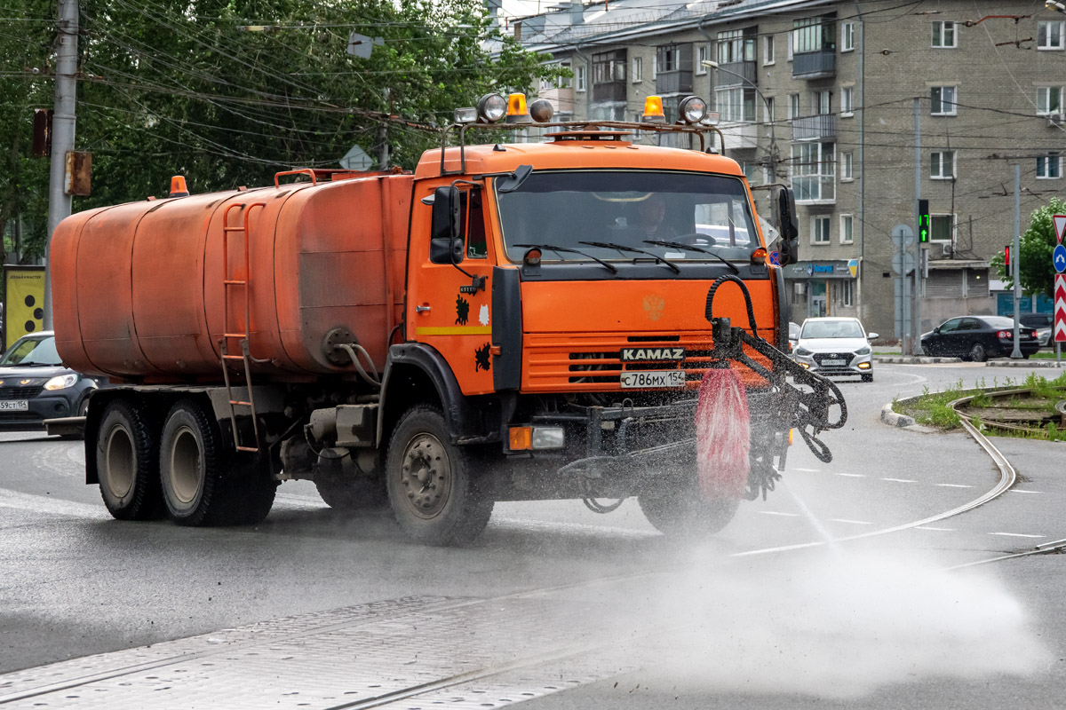 Новосибирская область, № С 786 МХ 154 — КамАЗ-65115-D3(97)