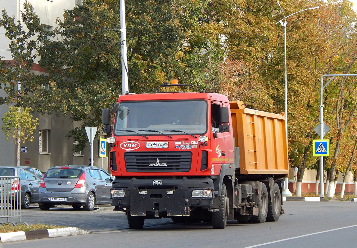 Белгородская область, № Т 994 ХО 31 — МАЗ-650126