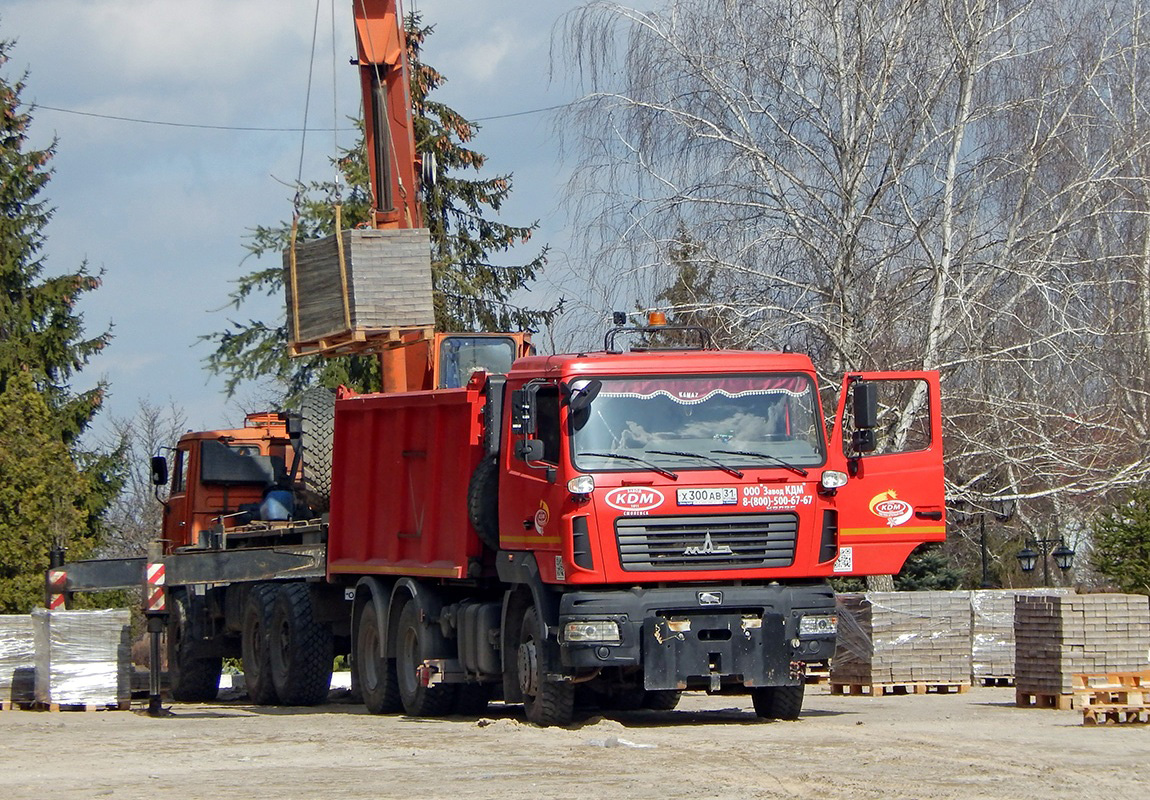 Белгородская область, № Х 300 АВ 31 — МАЗ-650126