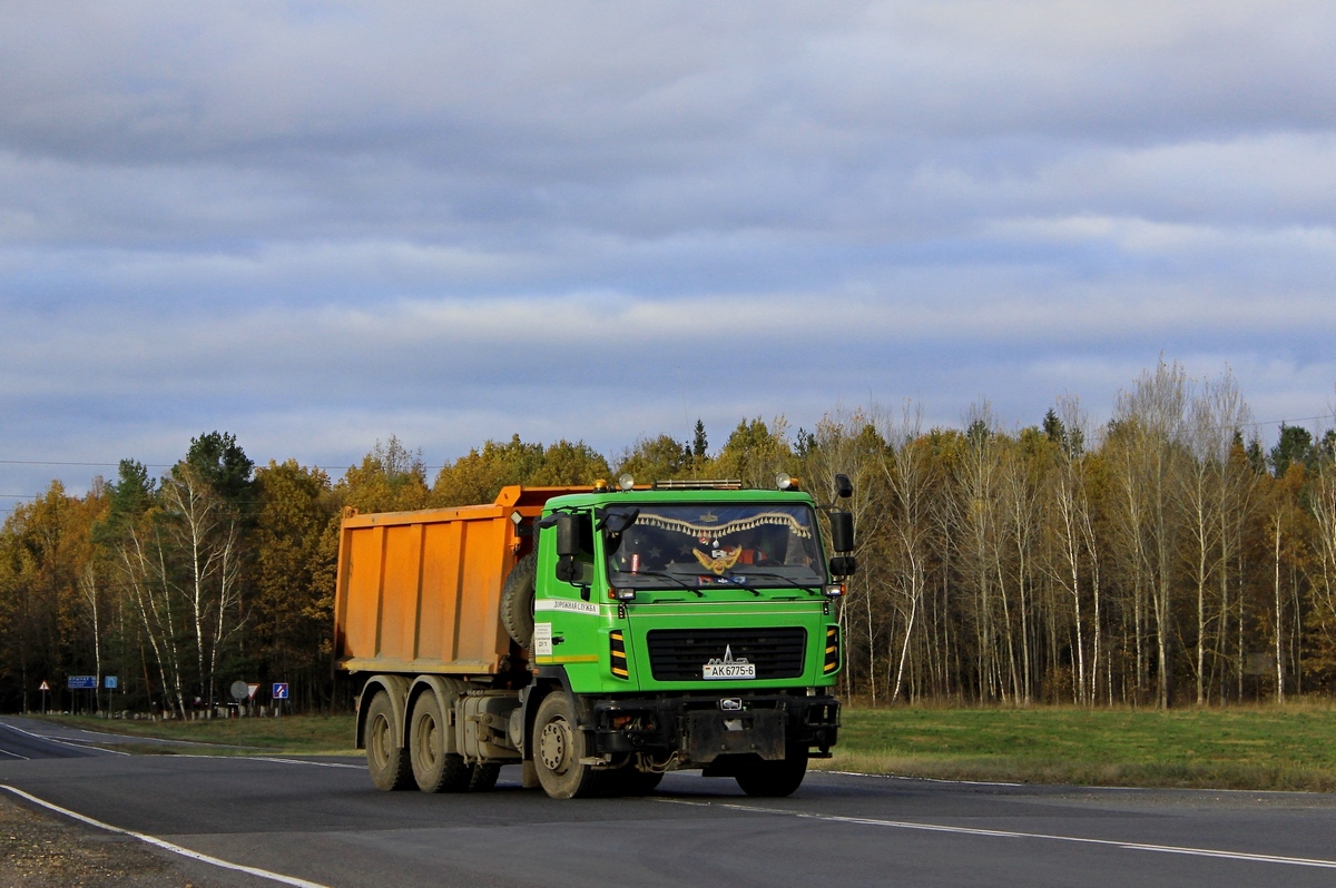 Могилёвская область, № АК 6775-6 — МАЗ-6501 (общая модель)