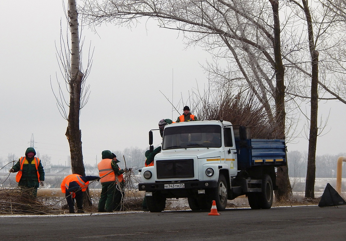 Белгородская область, № Н 743 ТМ 31 — ГАЗ-3309