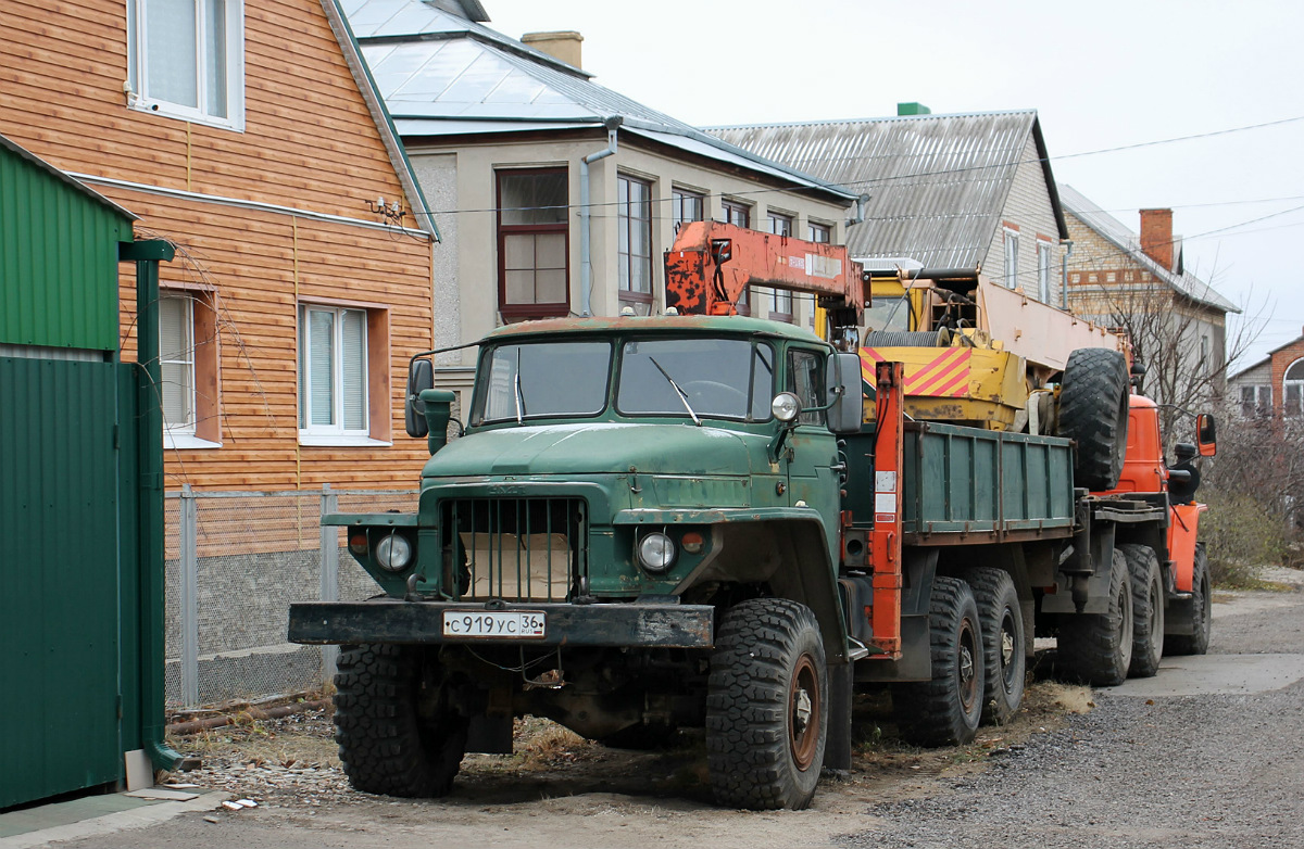 Воронежская область, № С 919 УС 36 — Урал-375 (общая модель)