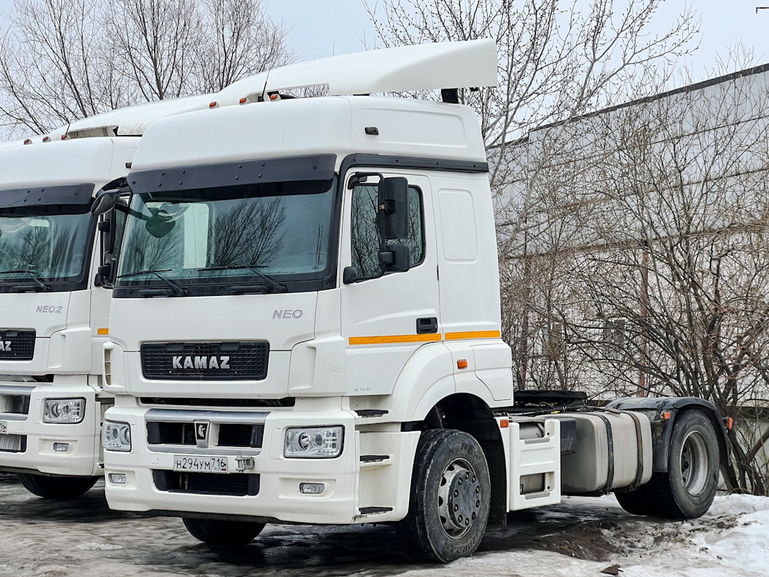 Татарстан, № Н 294 УМ 716 — КамАЗ-5490-87(DC) NEO