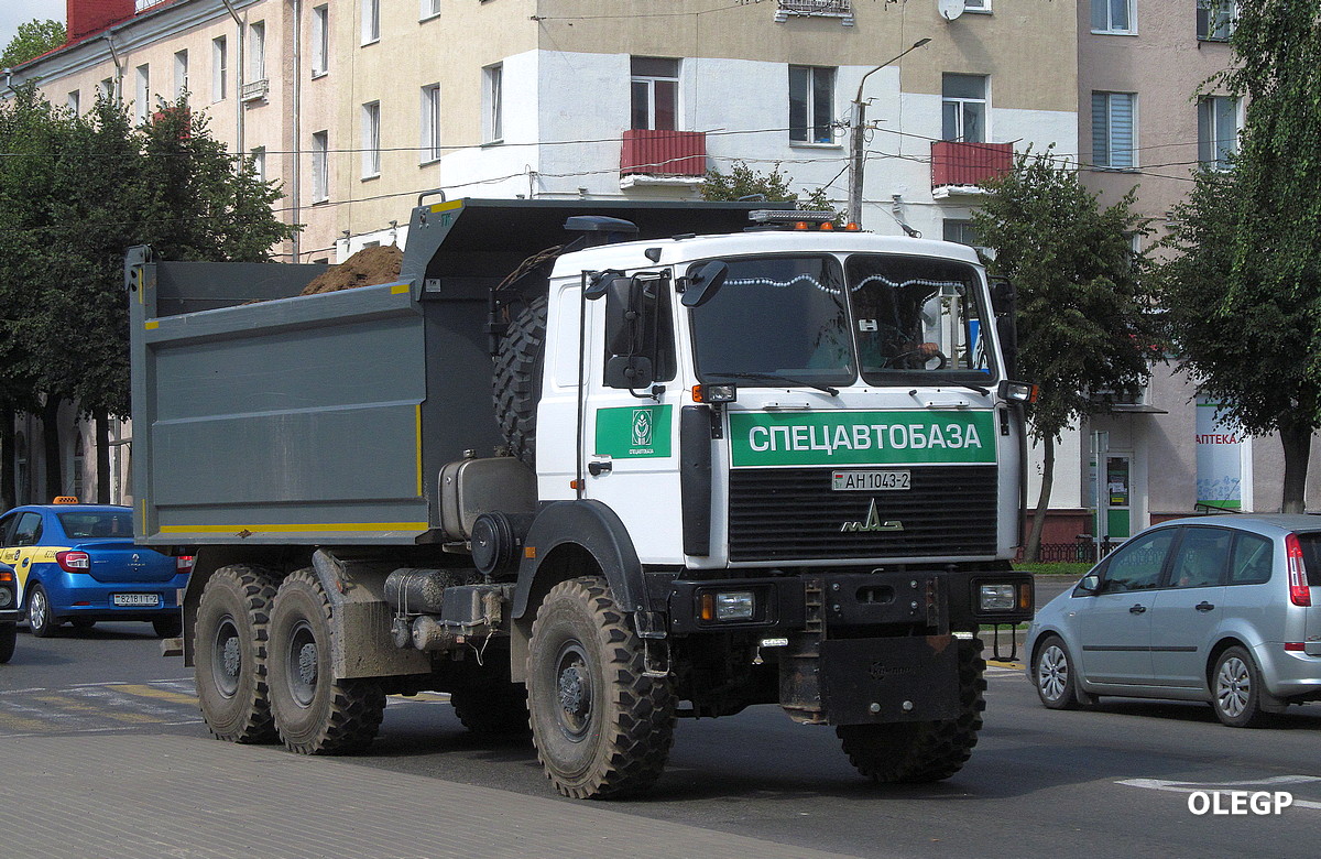 Витебская область, № АН 1043-2 — МАЗ-6317 (общая модель)