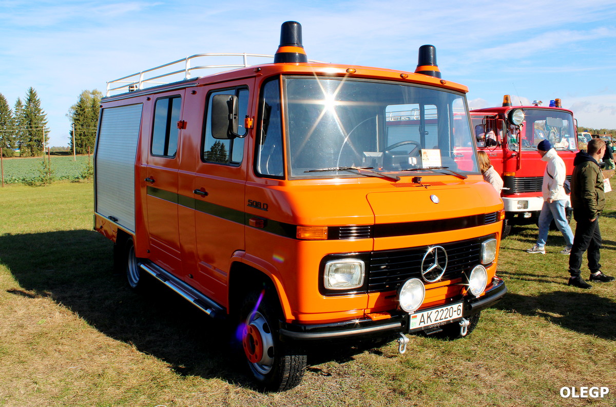 Могилёвская область, № АК 2220-6 — Mercedes-Benz T2 ('1967); Минская область — TBT SHOW 2024