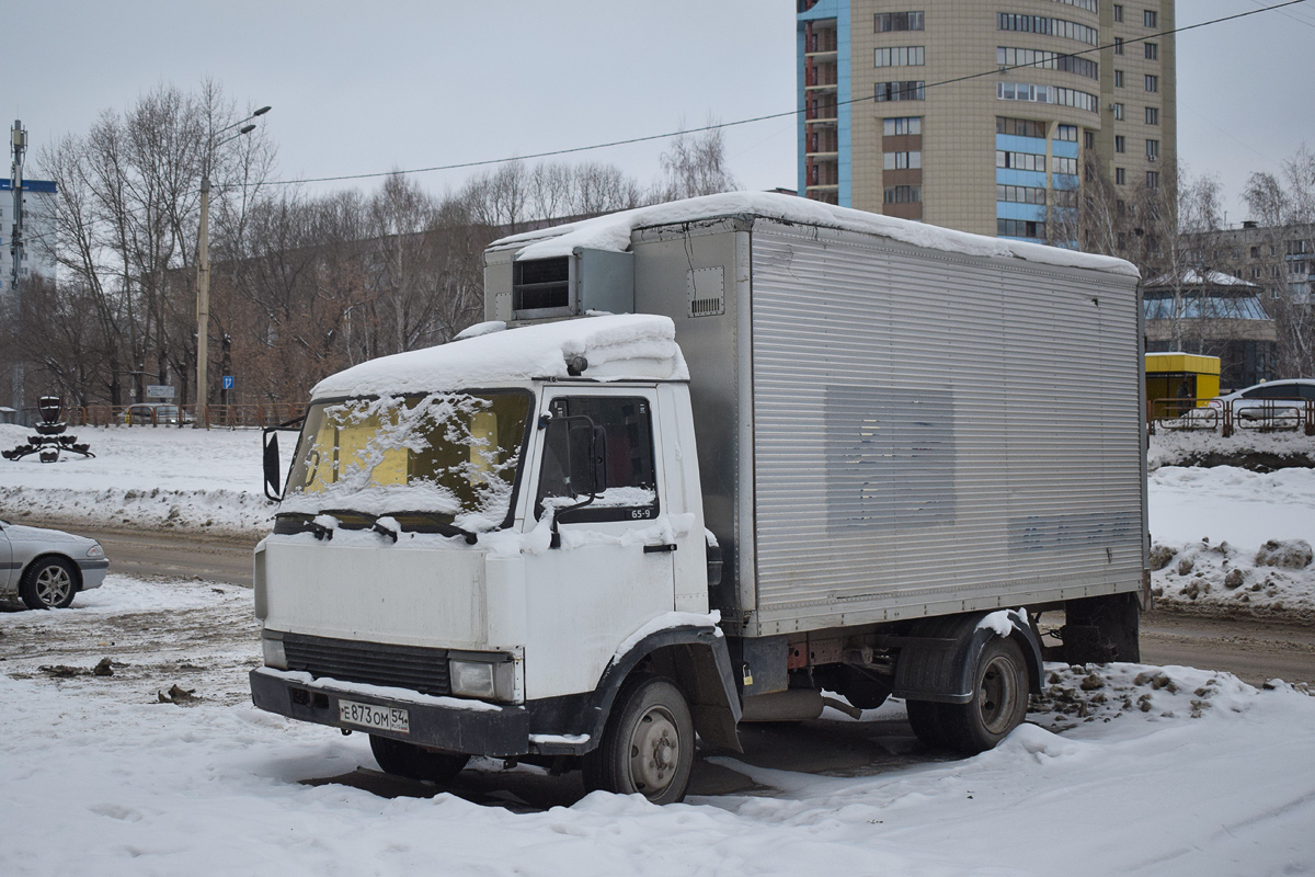 Алтайский край, № Е 873 ОМ 54 — IVECO Zeta