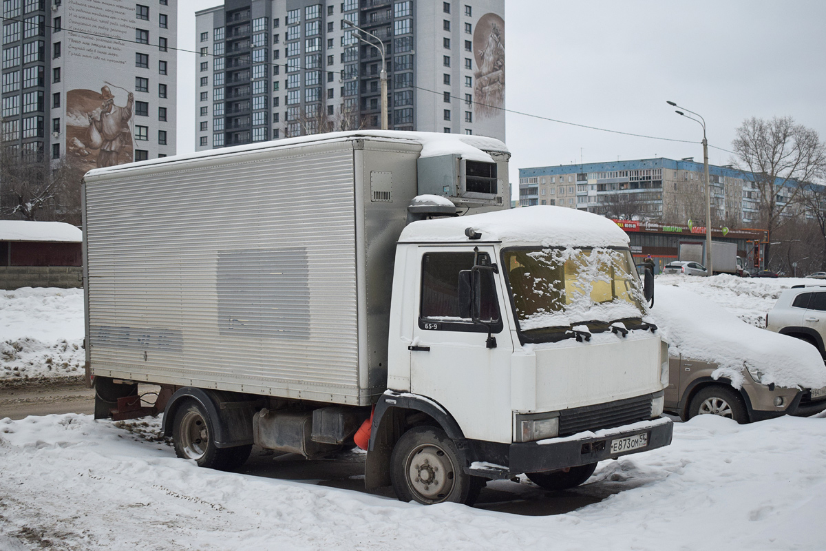 Алтайский край, № Е 873 ОМ 54 — IVECO Zeta