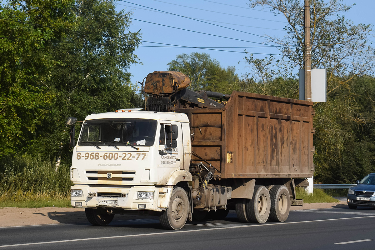 Московская область, № С 446 РМ 750 — КамАЗ-65115-L4(19) Московская область, № С 446 РМ 750 — КамАЗ-65115-L4(19)