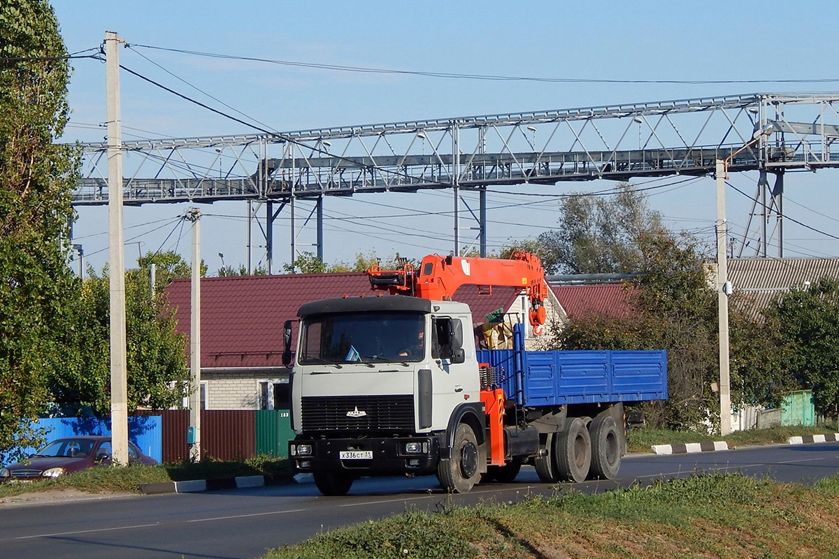 Белгородская область, № Х 336 СТ 31 — МАЗ-6303 [630300]