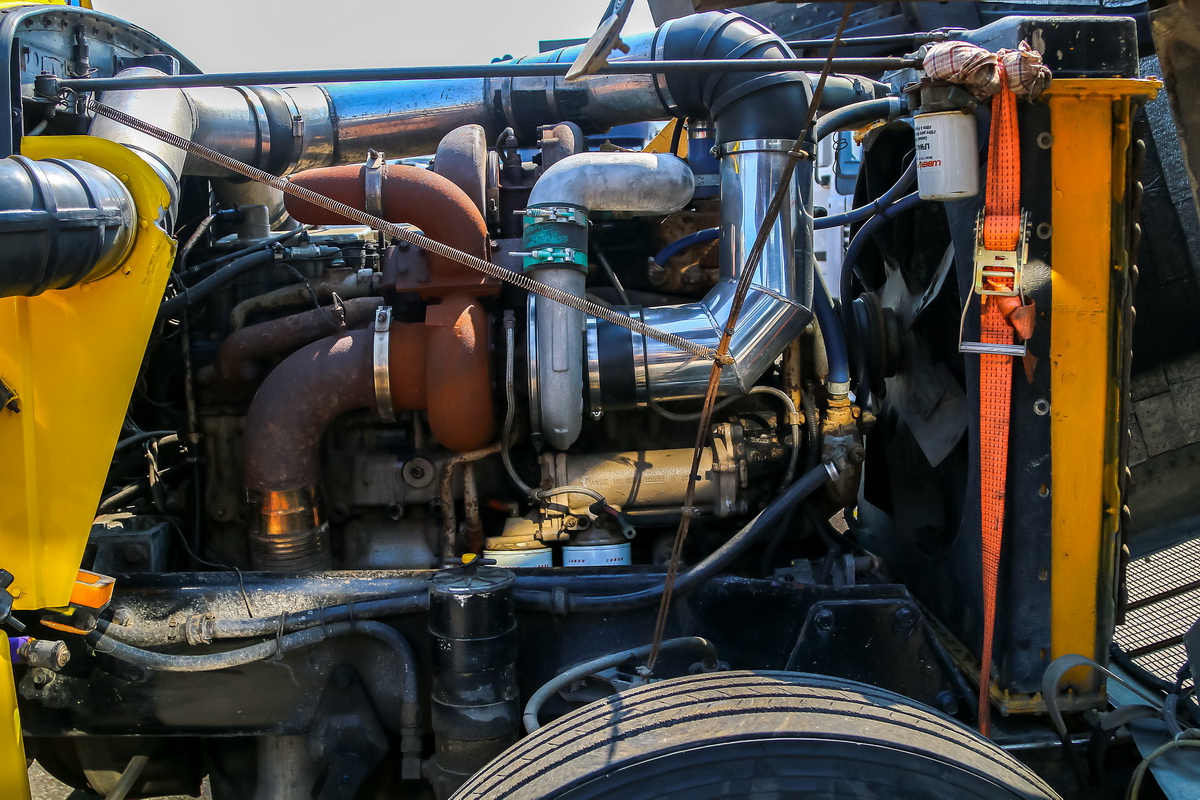 Москва, № О 359 МВ 777 — Peterbilt 359; Московская область — Фестиваль TruckDay 2024 — июнь Москва, № О 359 МВ 777 — Peterbilt 359; Московская область — Фестиваль TruckDay 2024 — июнь