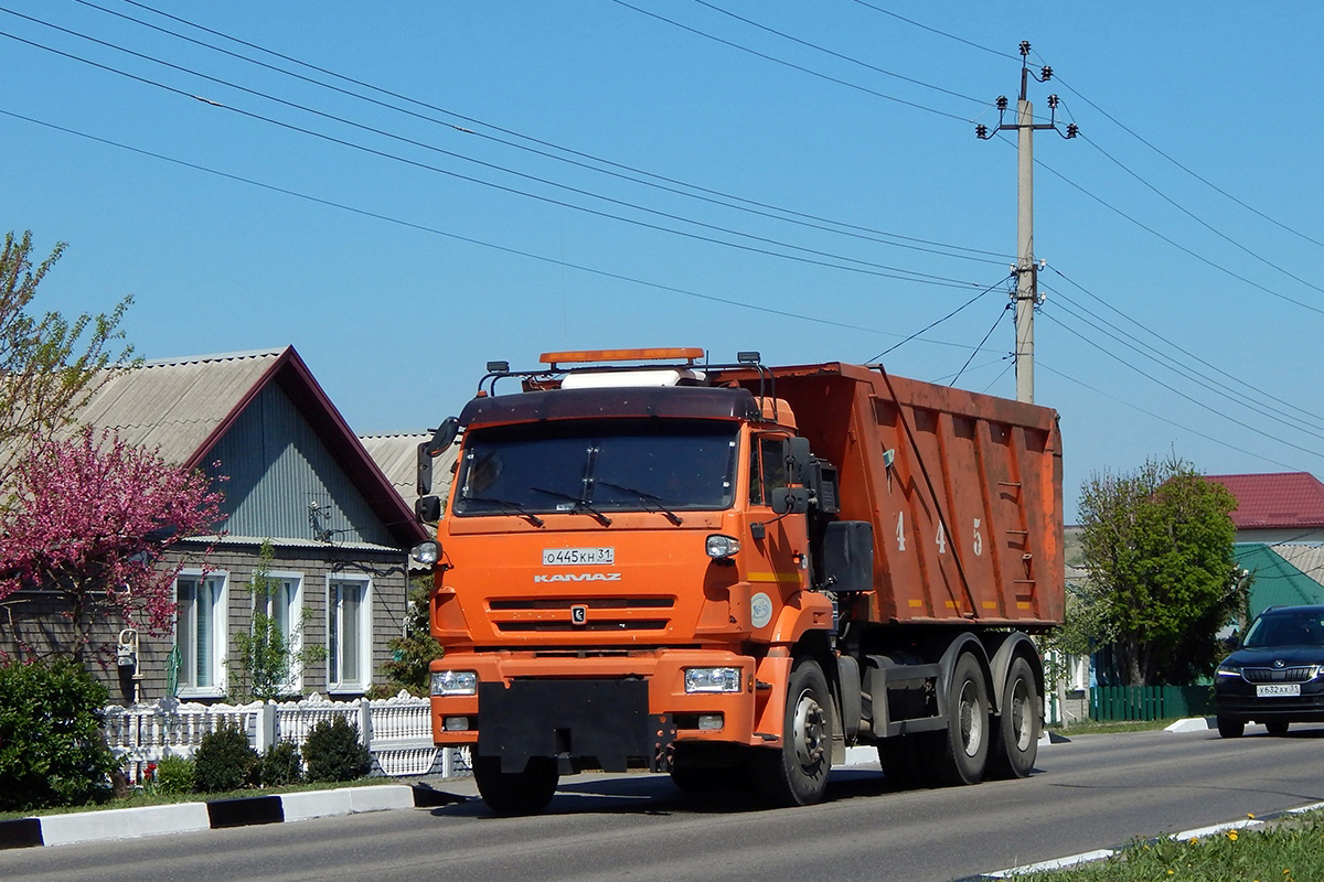 Белгородская область, № О 445 КН 31 — КамАЗ-6520-43 Белгородская область, № О 445 КН 31 — КамАЗ-6520-43