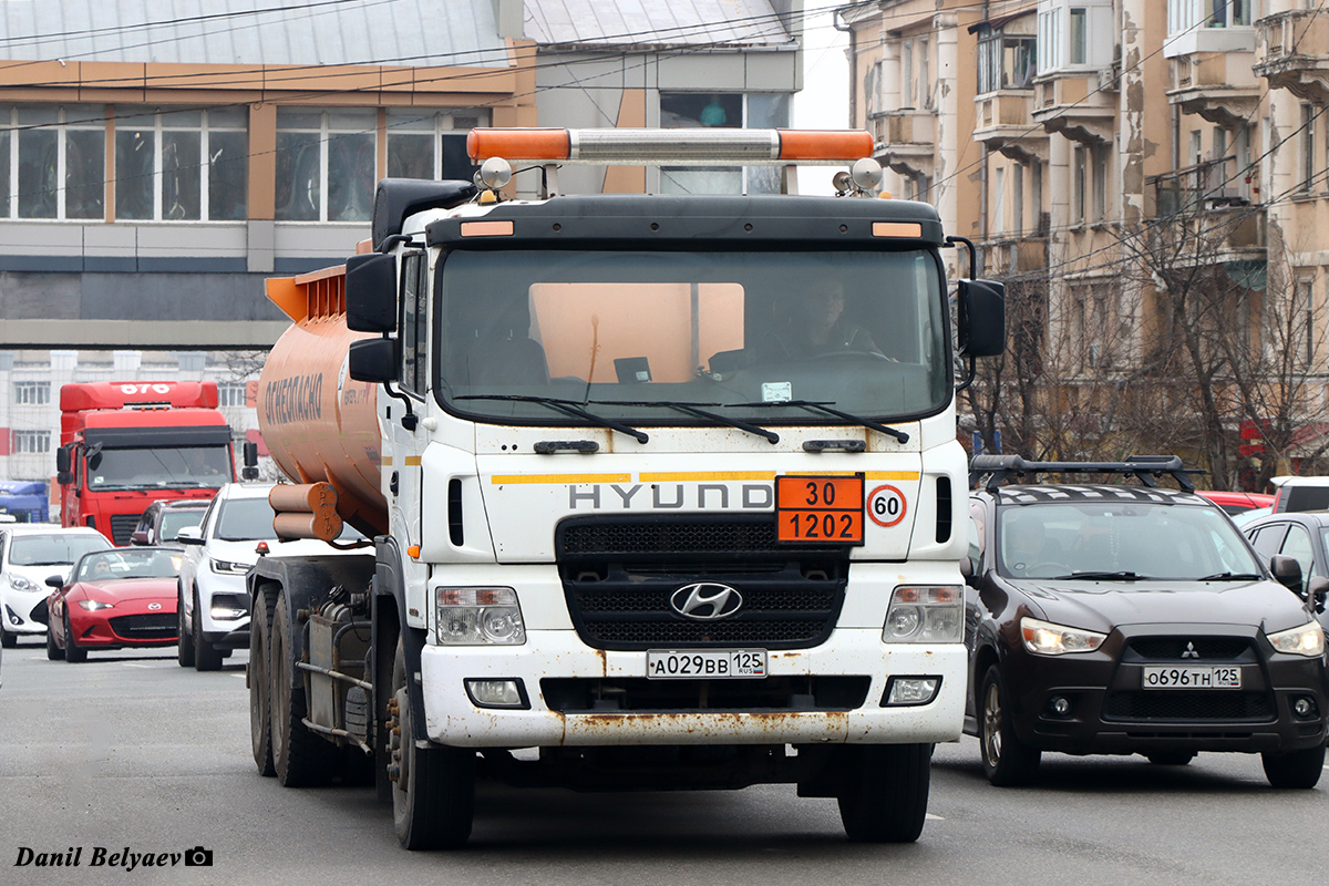 Приморский край, № А 029 ВВ 125 — Hyundai Power Truck (общая модель)