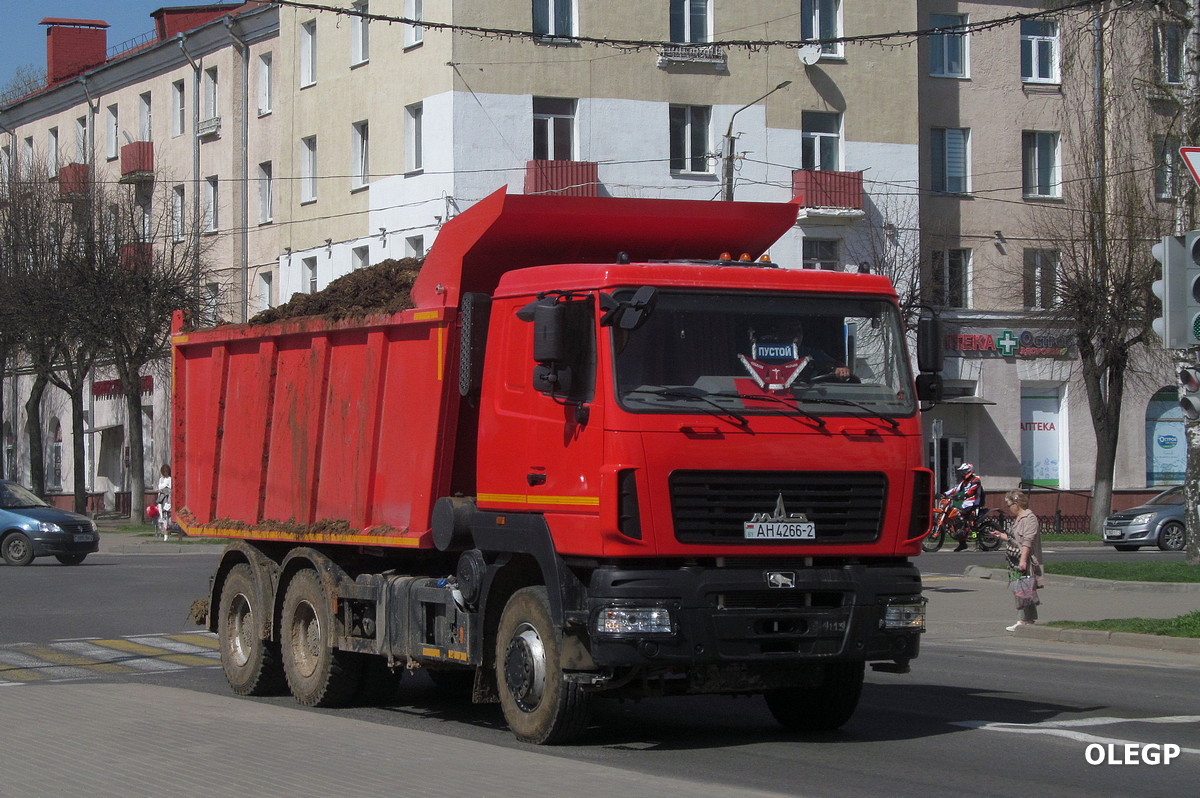 Витебская область, № АН 4266-2 — МАЗ-650128 Витебская область, № АН 4266-2 — МАЗ-650128