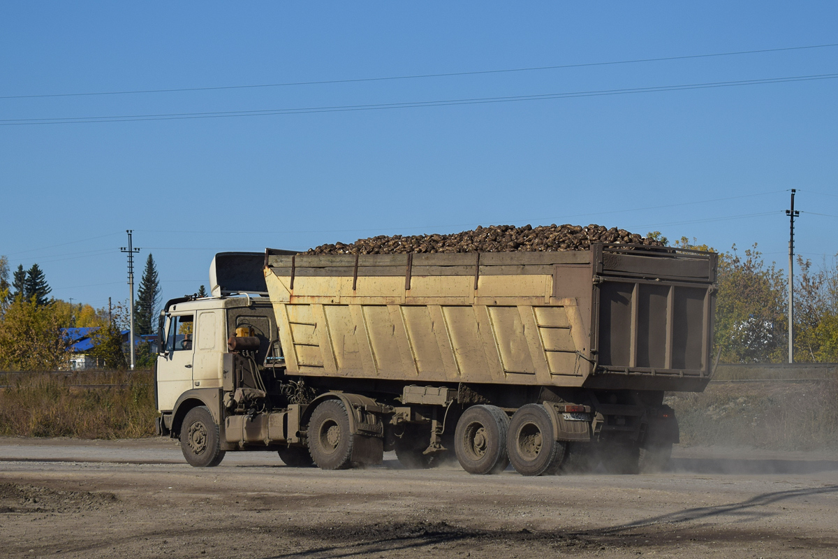 Алтайский край, № АН 4905 22 — МАЗ (общая модель) Алтайский край, № АН 4905 22 — МАЗ (общая модель)