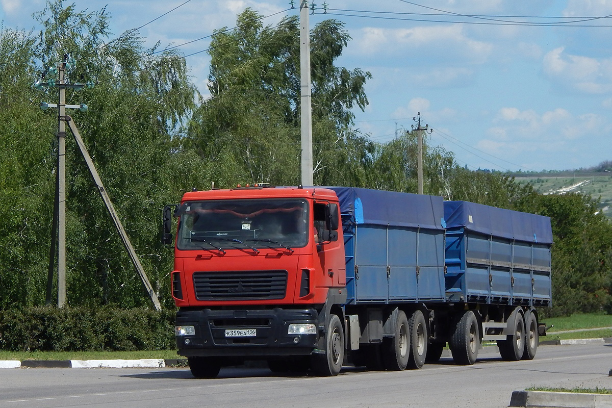 Воронежская область, № К 359 ЕА 136 — МАЗ-65012J