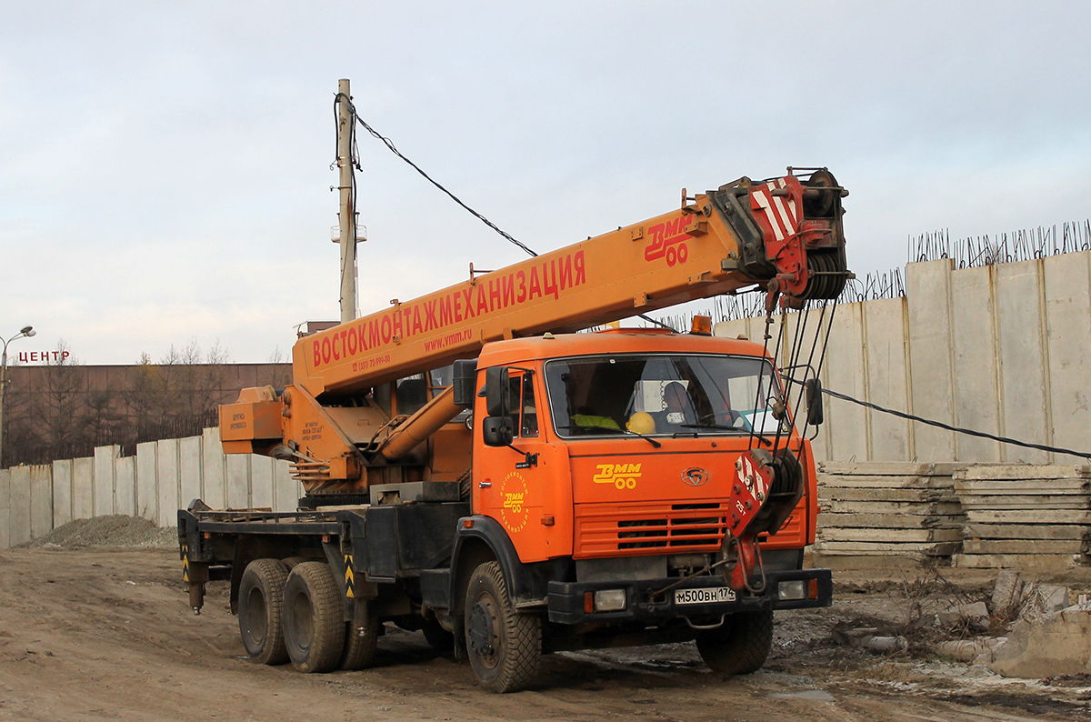 Челябинская область, № М 500 ВН 174 — БАЗ-8029
