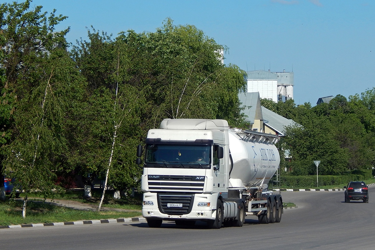 Белгородская область, № Т 806 АВ 31 — DAF XF105 FT