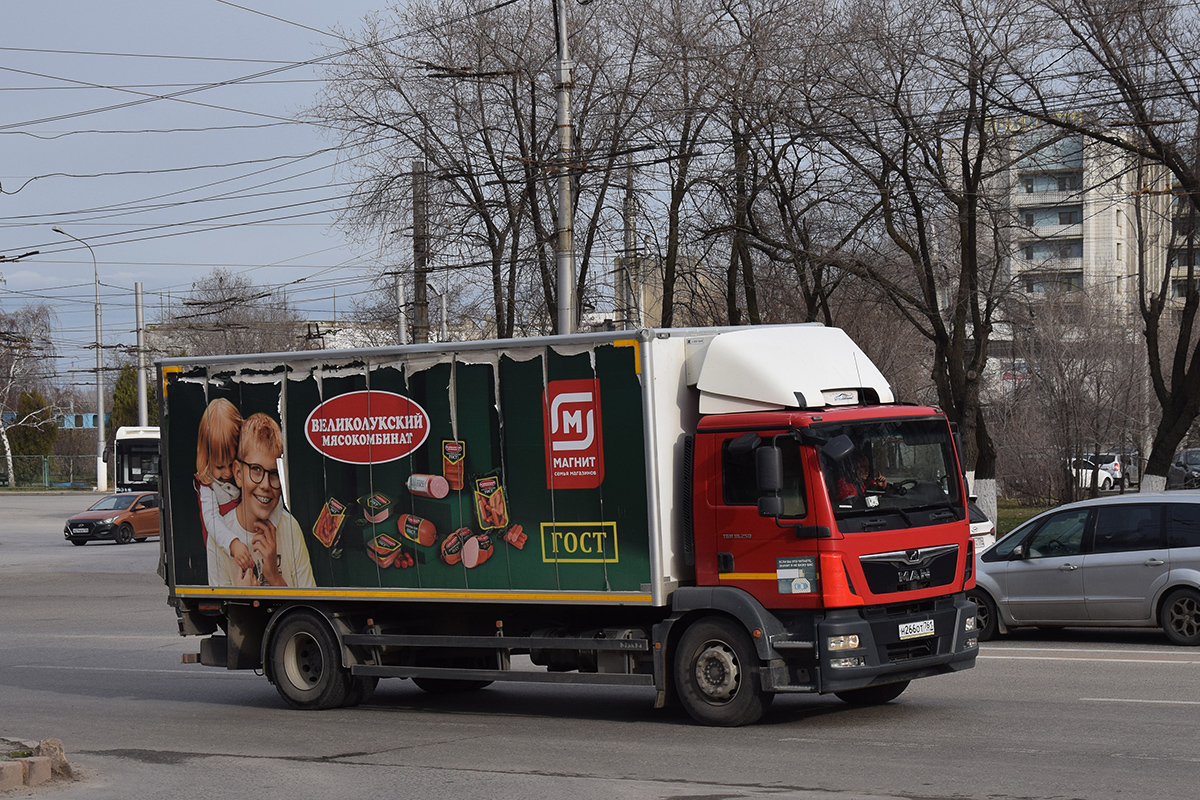 Волгоградская область, № Н 266 ОТ 761 — MAN TGM 18.250 Волгоградская область, № Н 266 ОТ 761 — MAN TGM 18.250