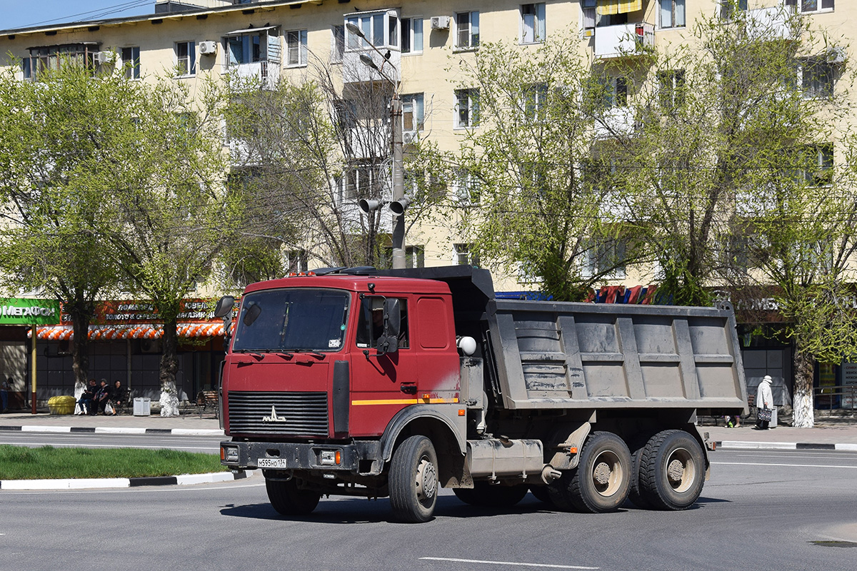 Волгоградская область, № М 595 НО 134 — МАЗ-5516X5 Волгоградская область, № М 595 НО 134 — МАЗ-5516X5