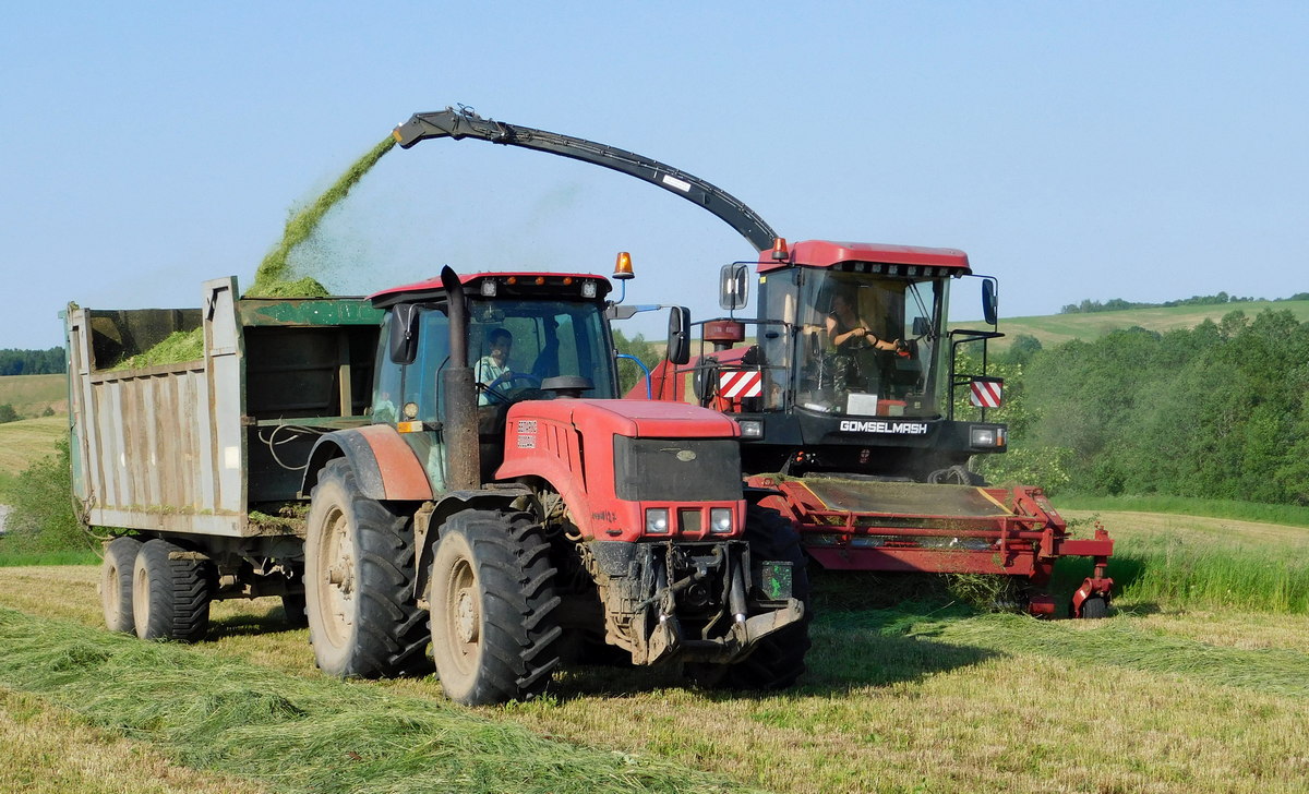 Гродненская область, № CK-4 2445 — Беларус-3022ДЦ.1