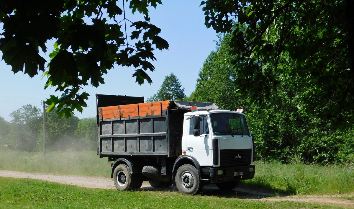 Гродненская область, № AB 3391-4 — МАЗ-5551 (общая модель)
