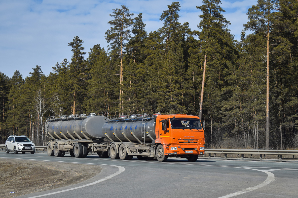 Алтайский край, № Н 367 ХА 22 — КамАЗ-65115-L4(19) Алтайский край, № Н 367 ХА 22 — КамАЗ-65115-L4(19)