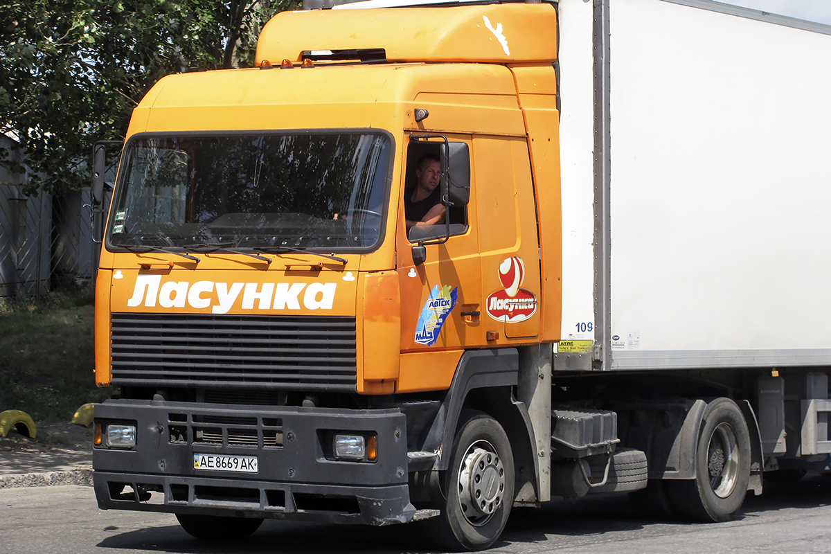Днепропетровская область, № АЕ 8669 АК — МАЗ-544008