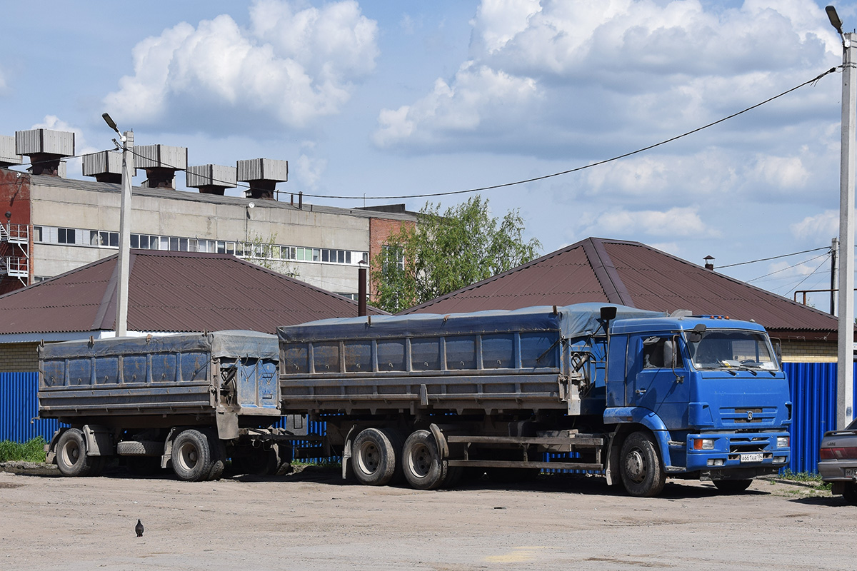 Волгоградская область, № А 661 АА 134 — КамАЗ-65117-62