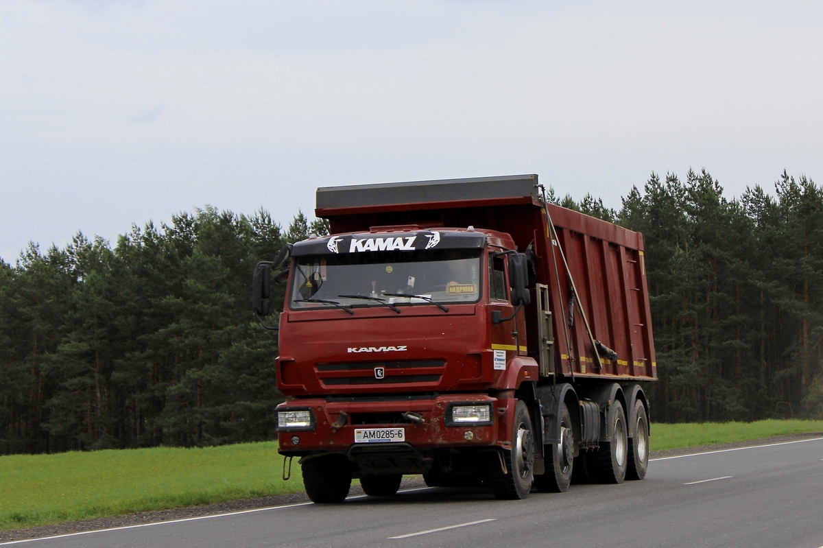 Могилёвская область, № АМ 0285-6 — КамАЗ-65201 (общая модель)
