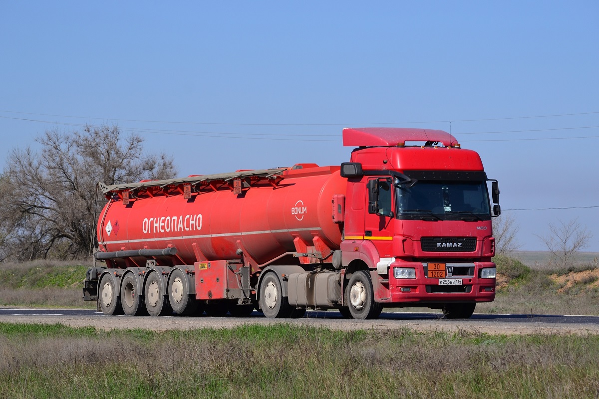 Волгоградская область, № К 256 ВВ 134 — КамАЗ-5490-S5(87)