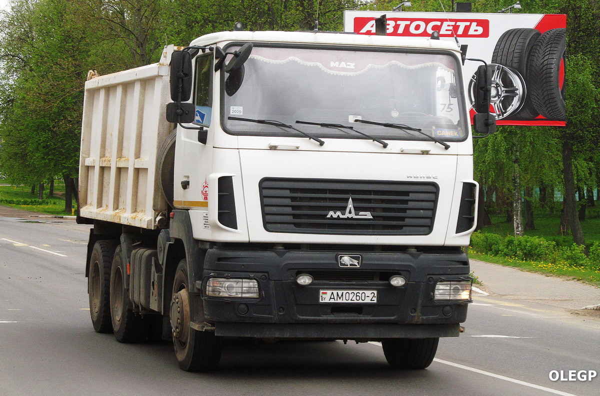Витебская область, № АМ 0260-2 — МАЗ-6501 (общая модель)