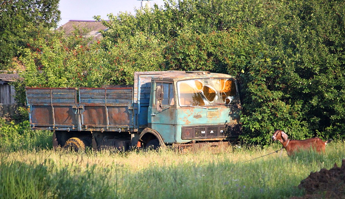 Рязанская область, № (62) Б/Н 0049 — МАЗ (общая модель); Рязанская область — Автомобили без номеров