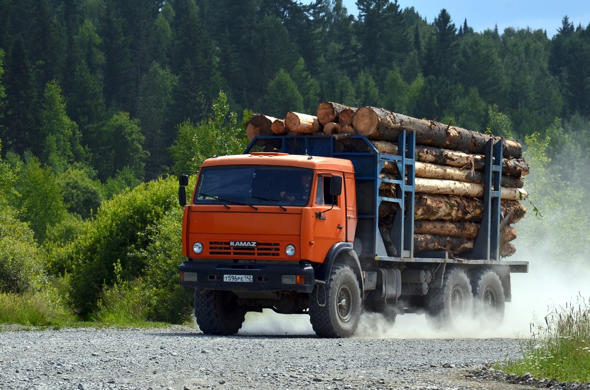 Кемеровская область, № Т 596 РЕ 142 — КамАЗ-43114 [431140]